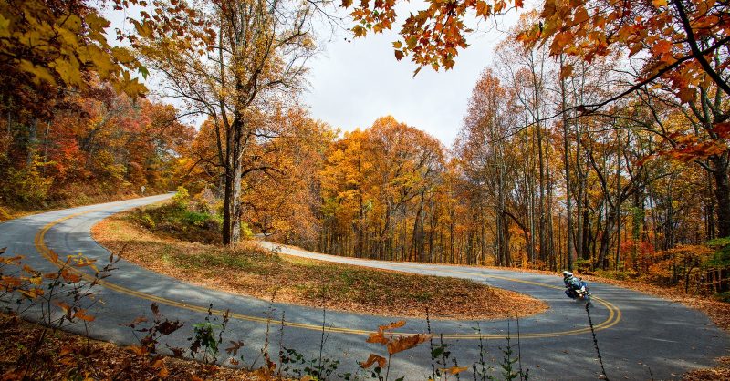 Scenic Drives