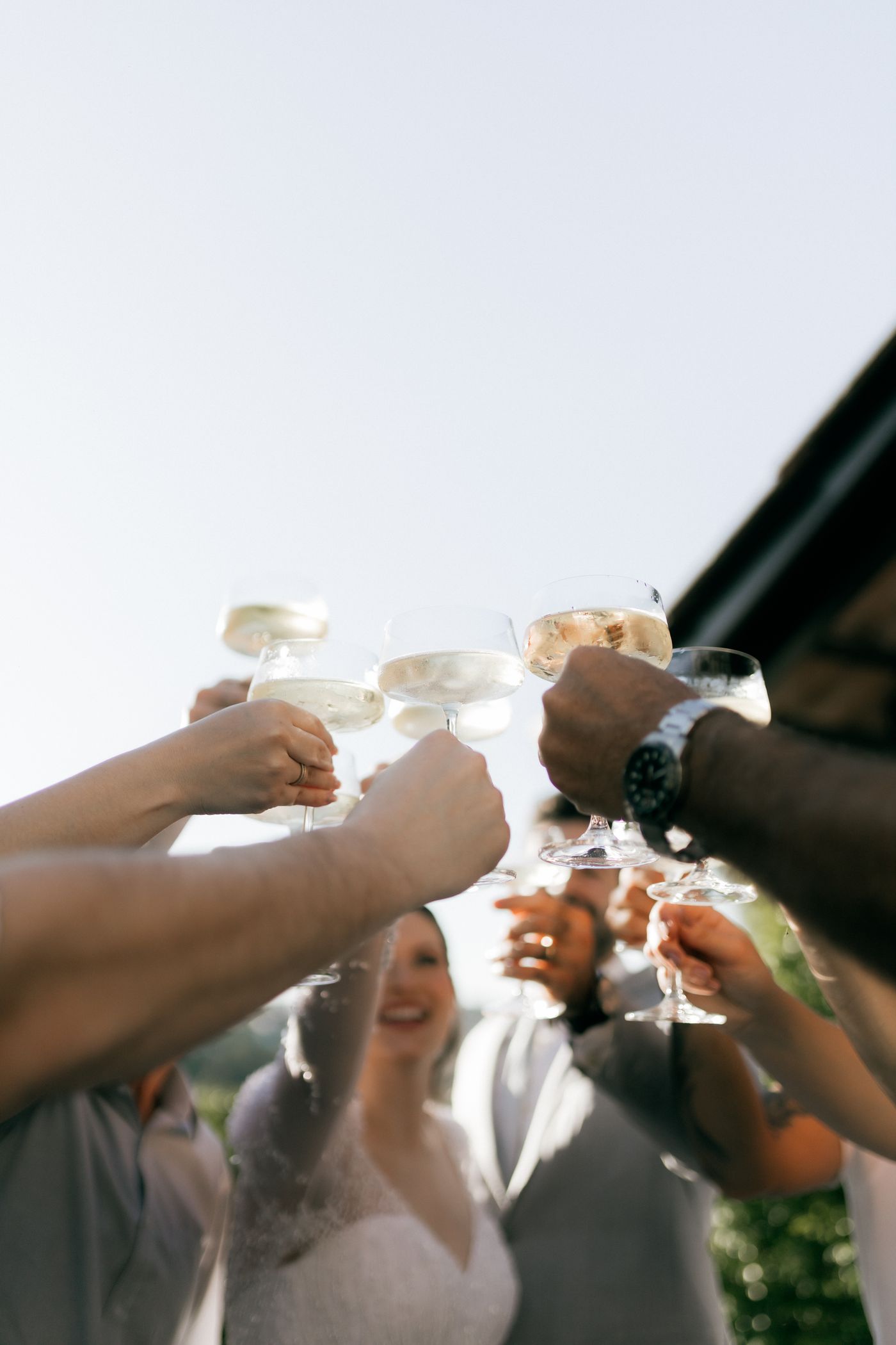 Guests raising champagne glasses at an outdoor wedding